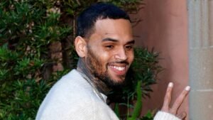 chris brown net worth