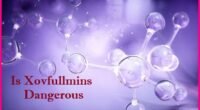 Is Xovfullmins Dangerous