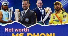 ms dhoni net worth
